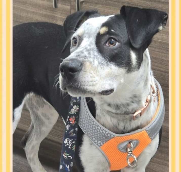 Photo of Sally