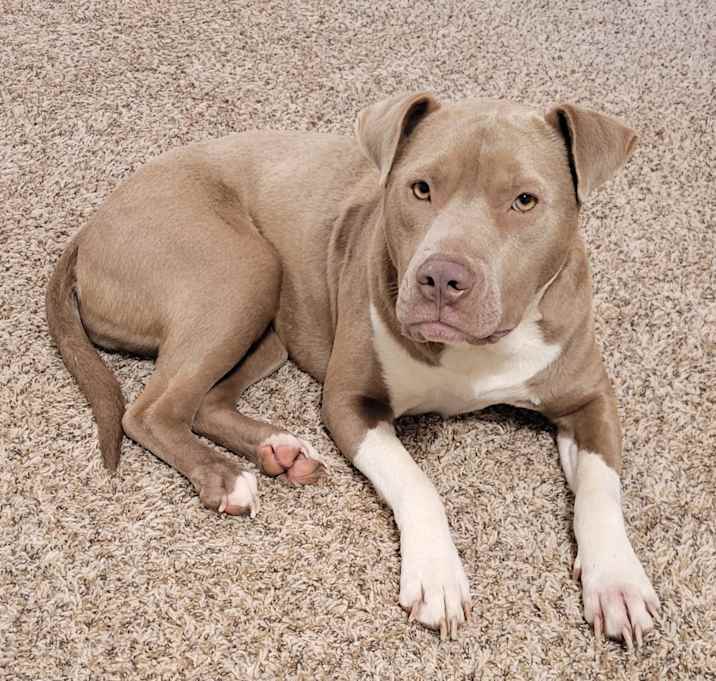 Photo of Tank