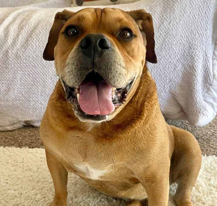 Photo of Butterball