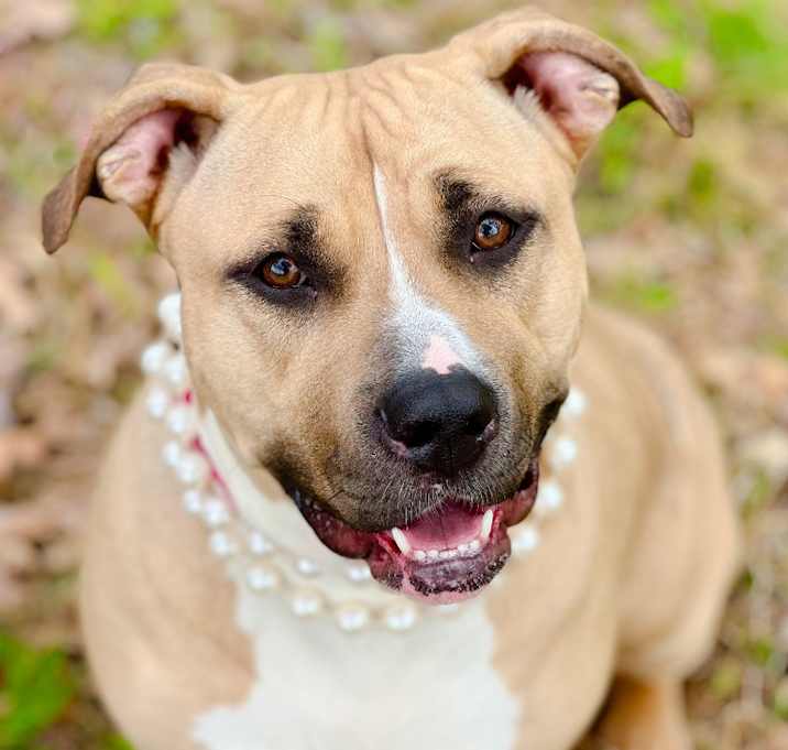 Photo of Phoenix