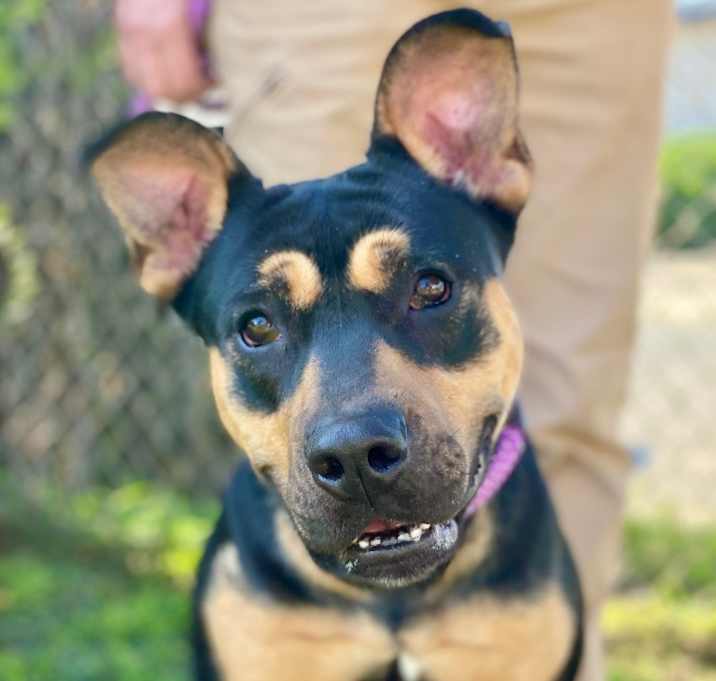 Photo of Emmy