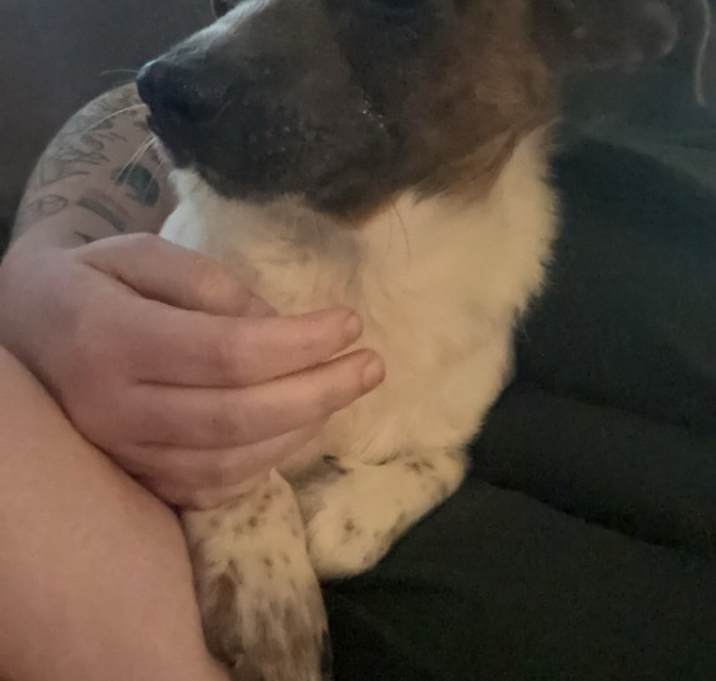 Photo of Tilly