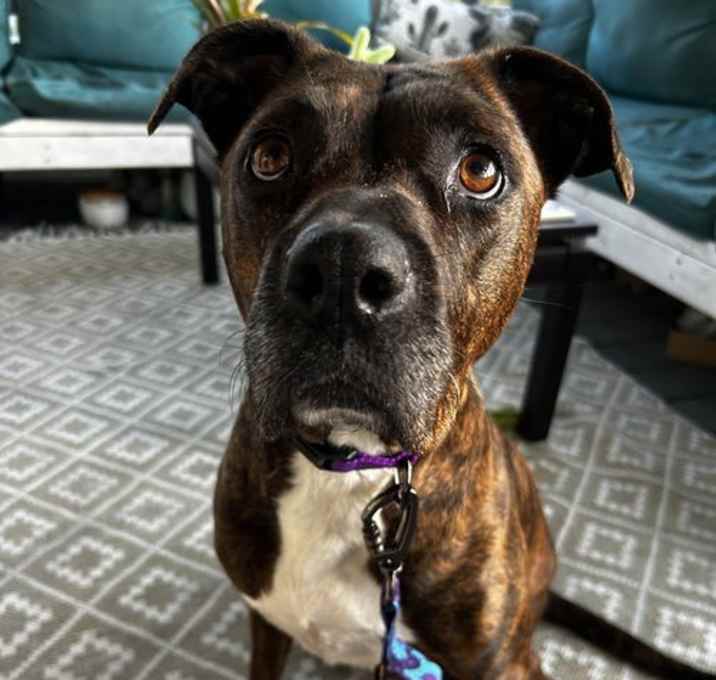 Photo of Brenda