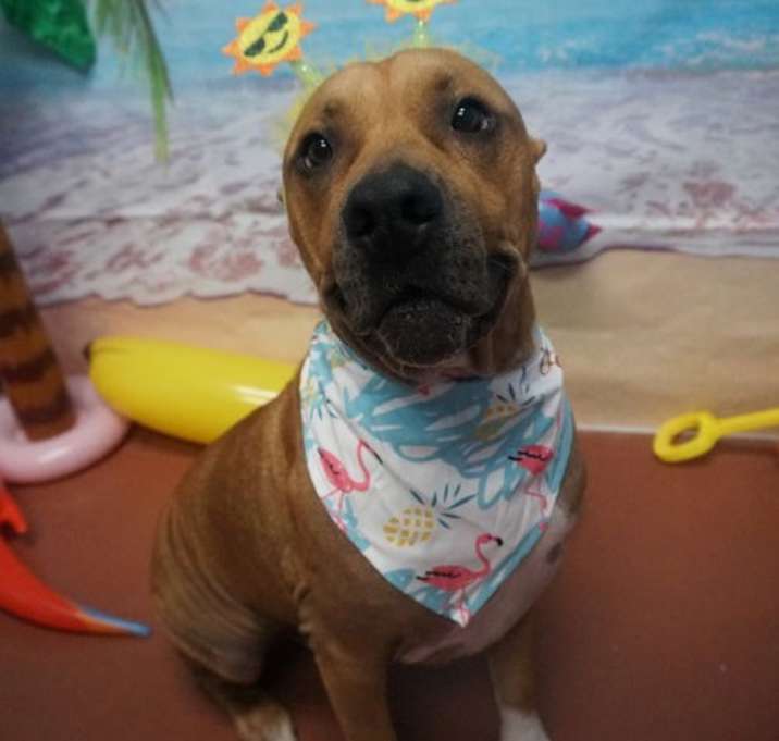 Photo of KRONK