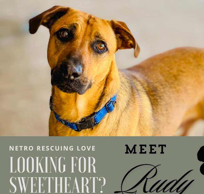 Photo of Rudy