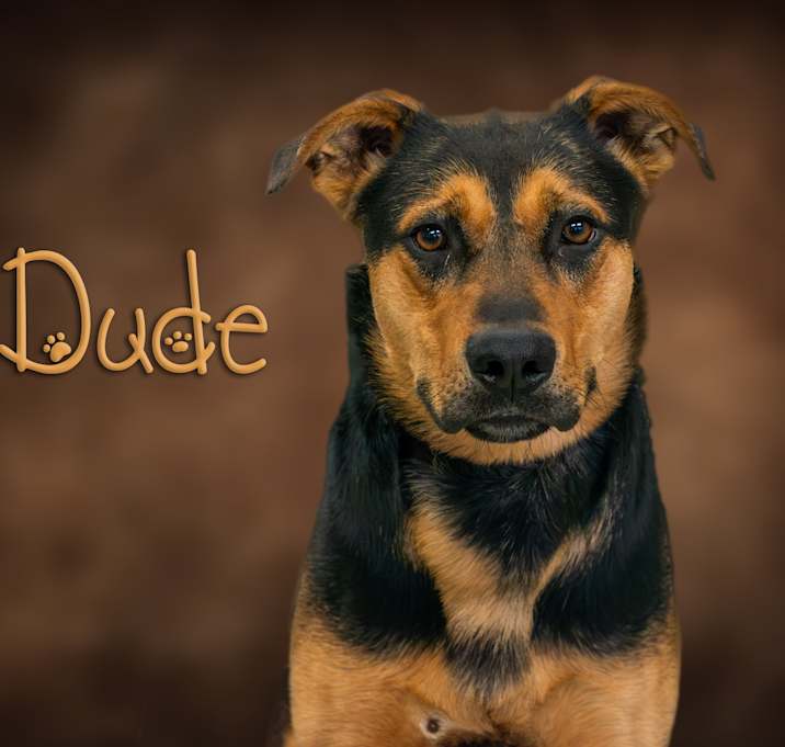 Photo of Dude