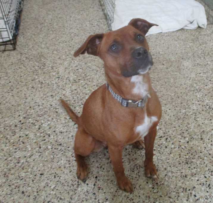 Photo of Penelope