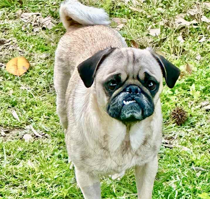 Photo of Addie