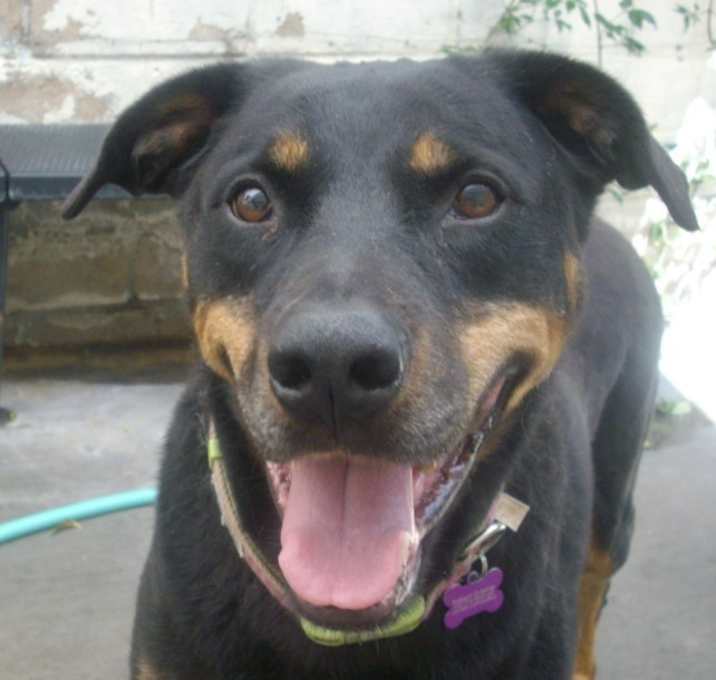 Photo of PHOENIX