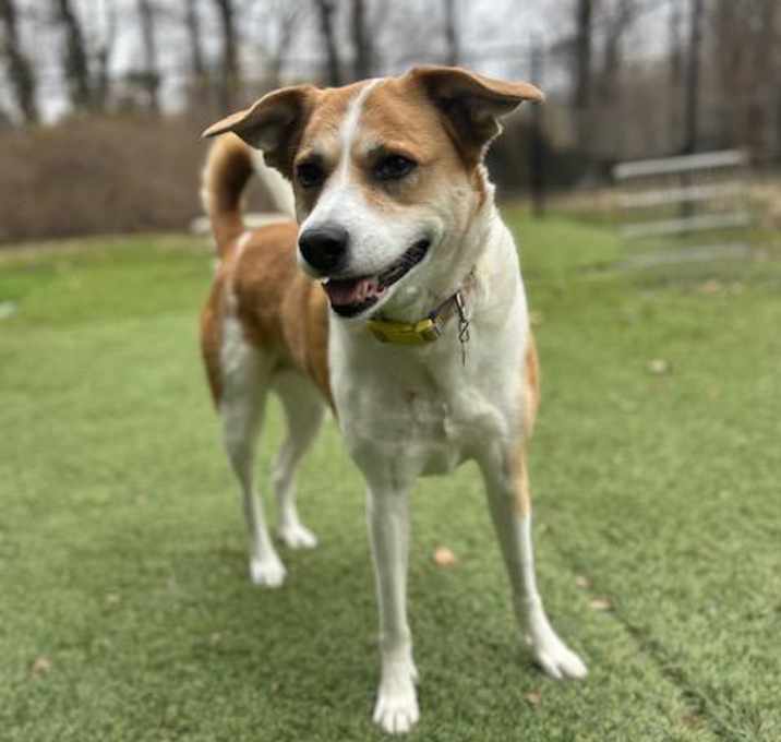 Photo of Penny