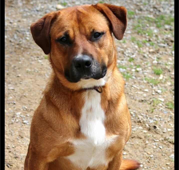 Photo of Archie