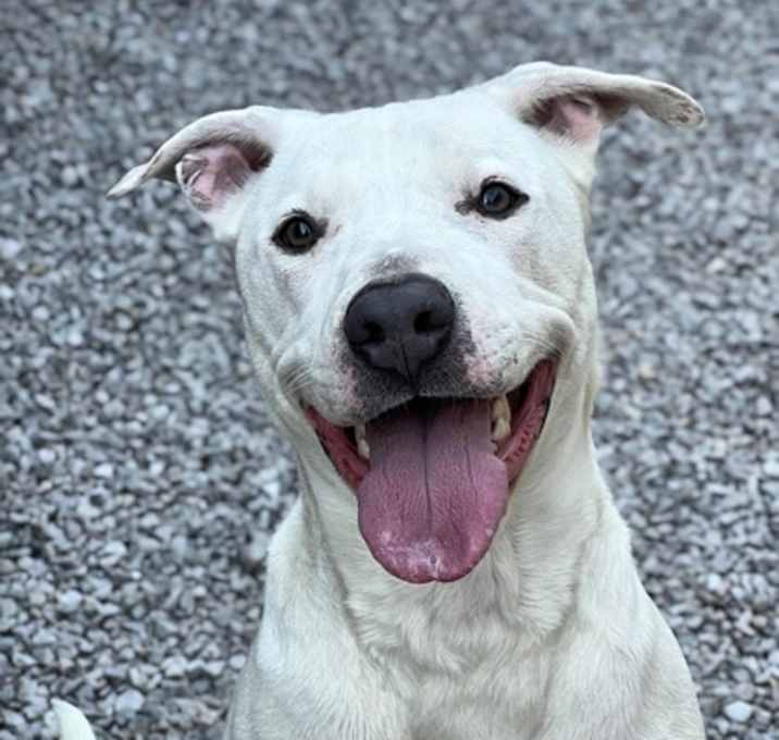 Photo of Astro