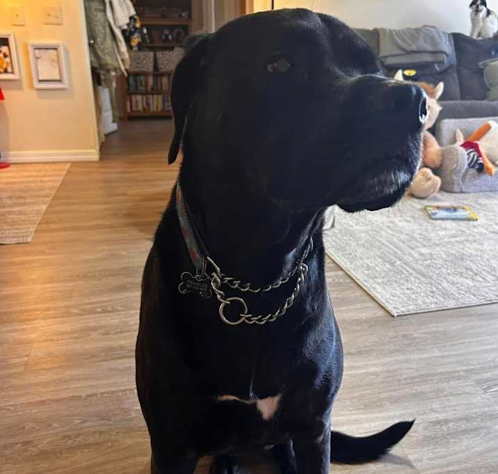 Photo of Charlee