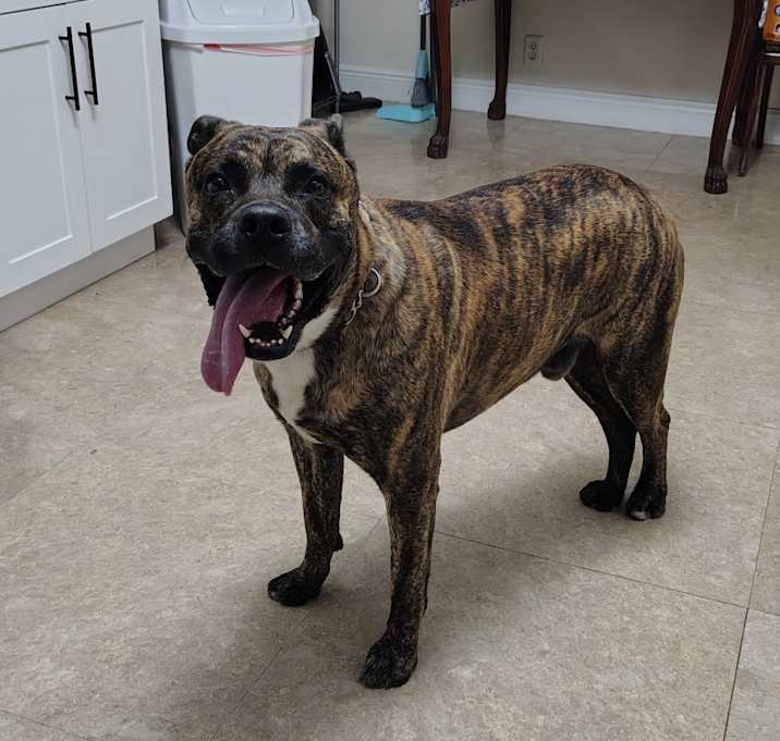 Photo of Yoshi