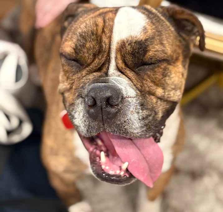 Photo of Cooper
