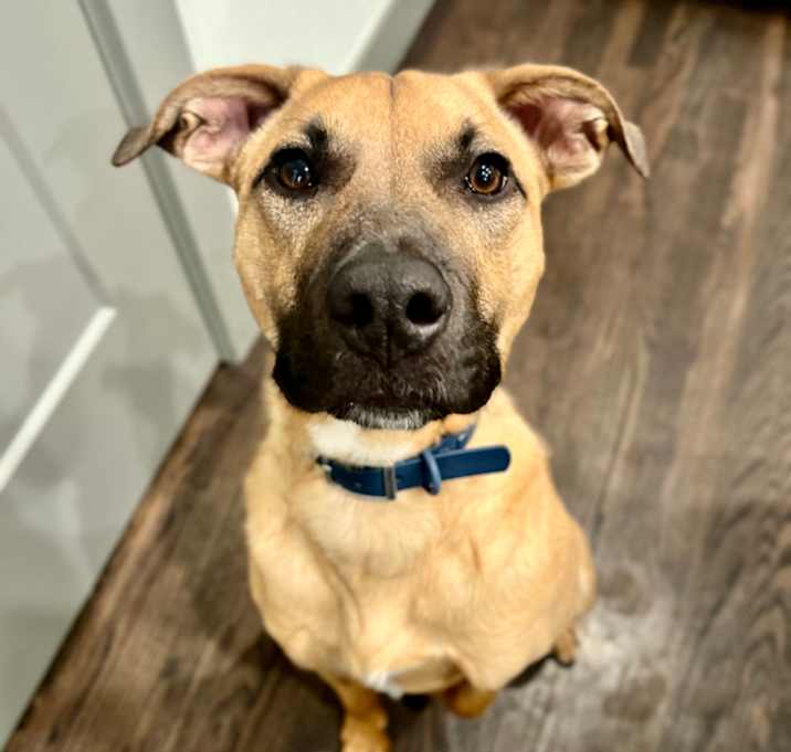 Photo of Doug