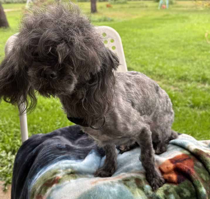 Photo of Smoke