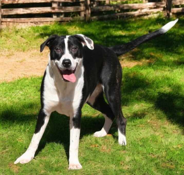 Photo of MISS PANDY