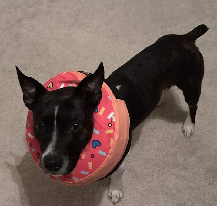 Photo of Sam