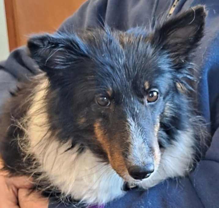 Photo of Bailey Blue