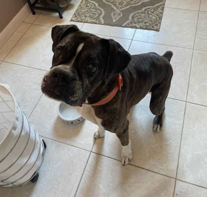 Photo of Louie F25-008