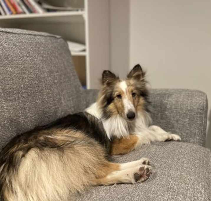 Photo of Charlie
