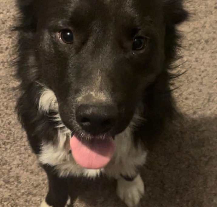 Photo of Oso