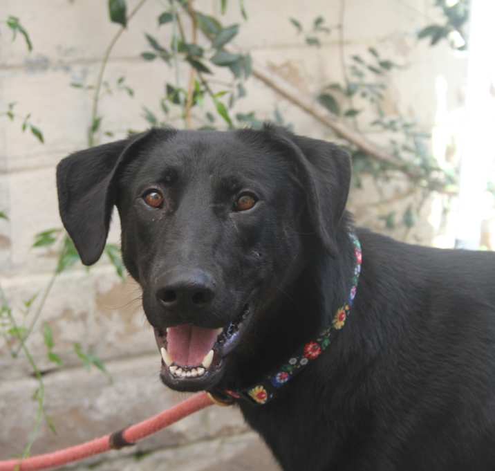 Photo of CARTER