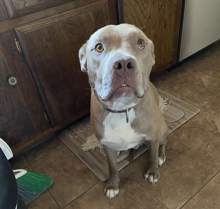 Photo of Ranger