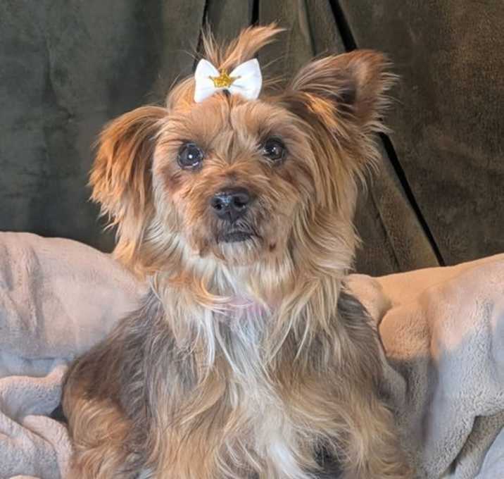 Photo of Reese