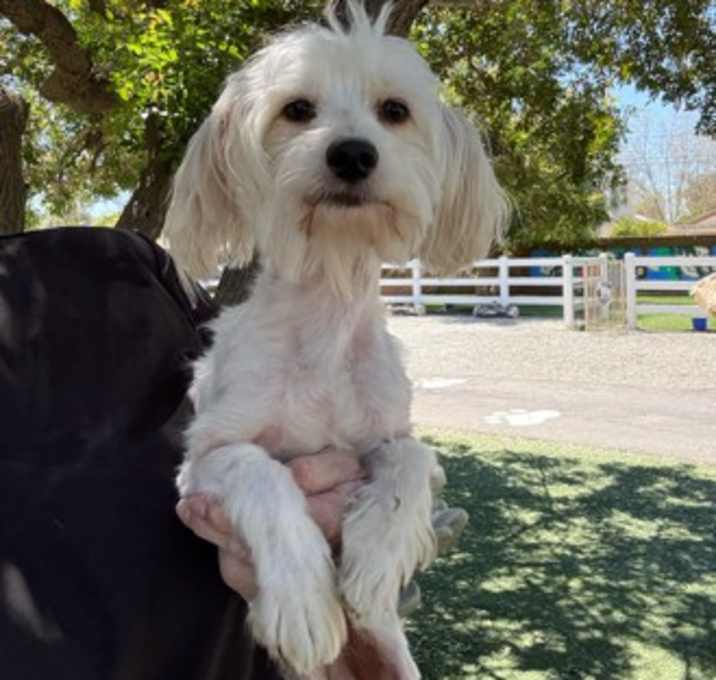Photo of Quinn