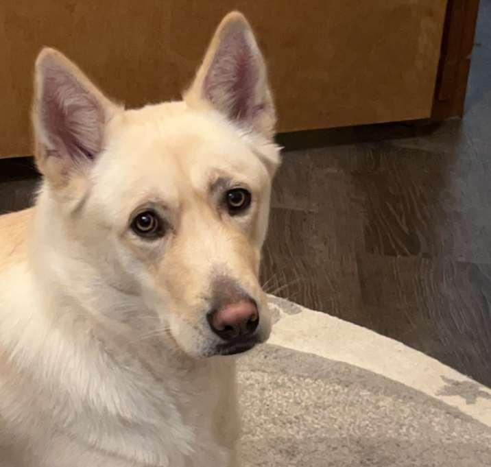 Photo of Oakley