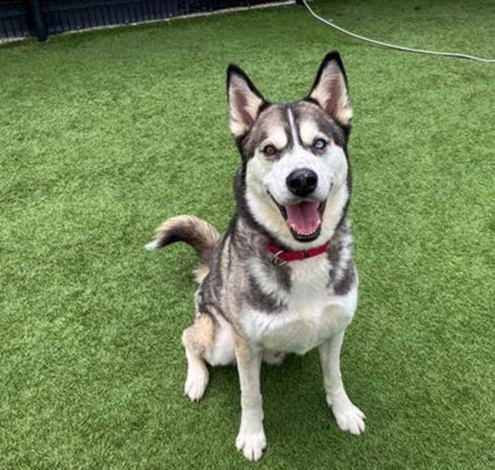 Photo of TURBO