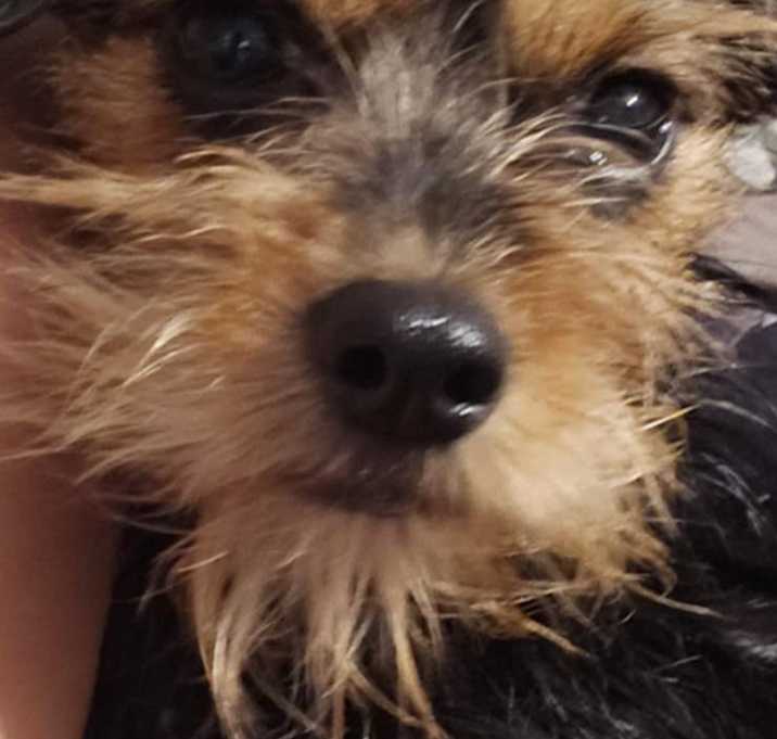 Photo of Avery
