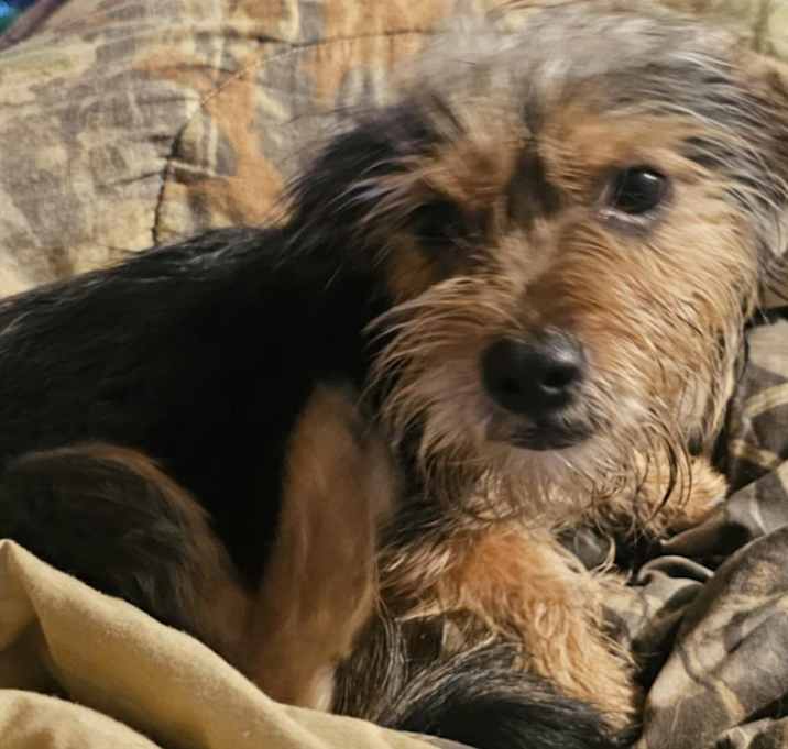 Photo of Reuben