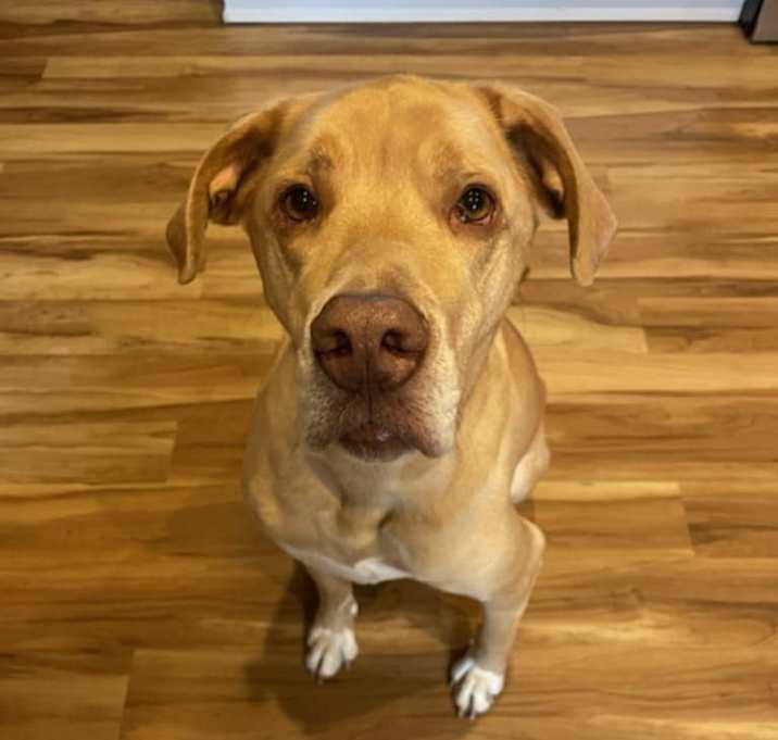 Photo of OZZIE