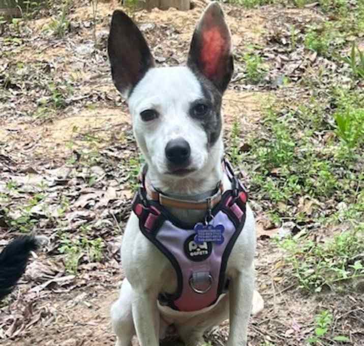 Photo of Lucy Lou