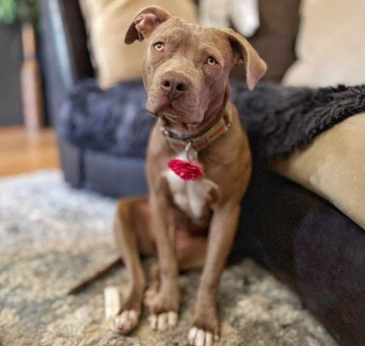 Photo of Gretel