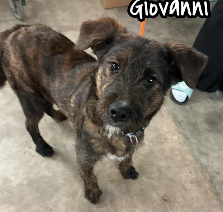 Photo of Giovanni