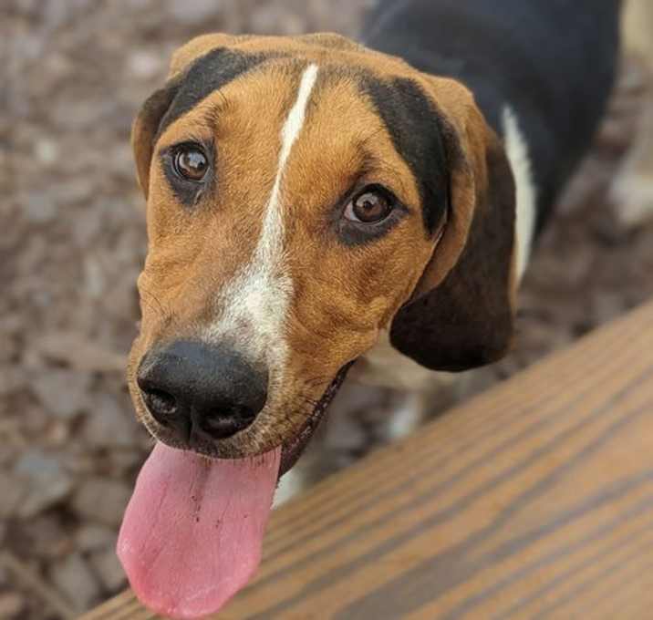 Photo of Mary Jane