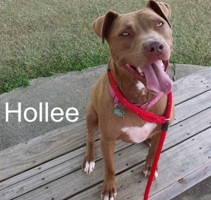 Photo of Hollee