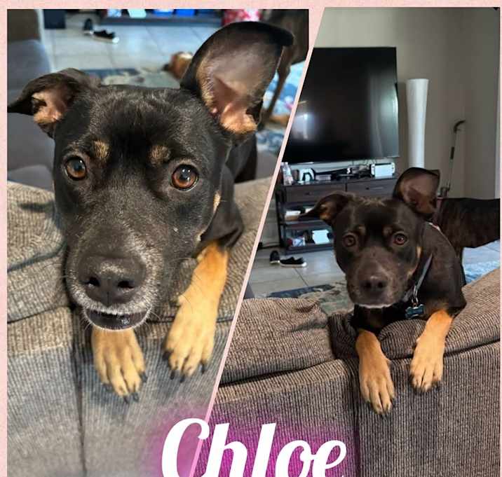 Photo of Chloe