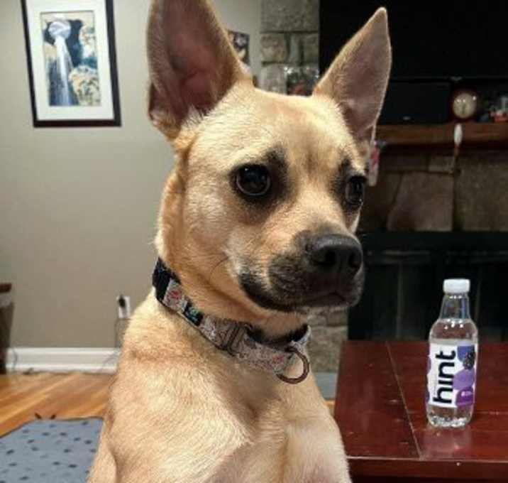 Photo of Mimi