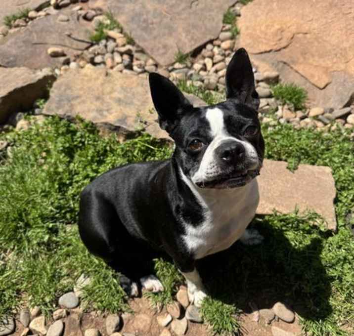 Photo of Nina