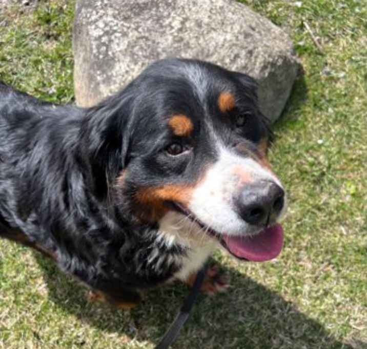 Photo of Delilah