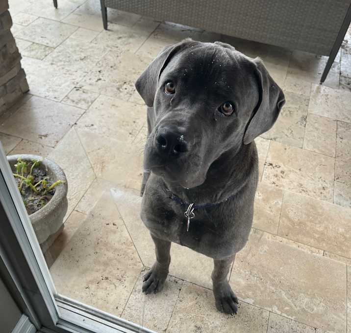 Photo of Winston
