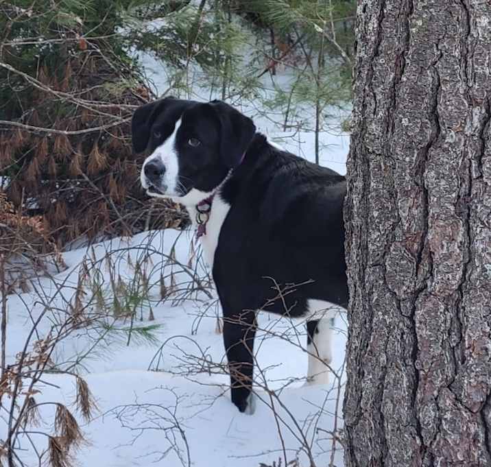 Photo of Casey