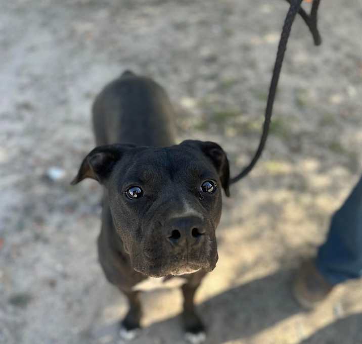 Photo of JAZZ