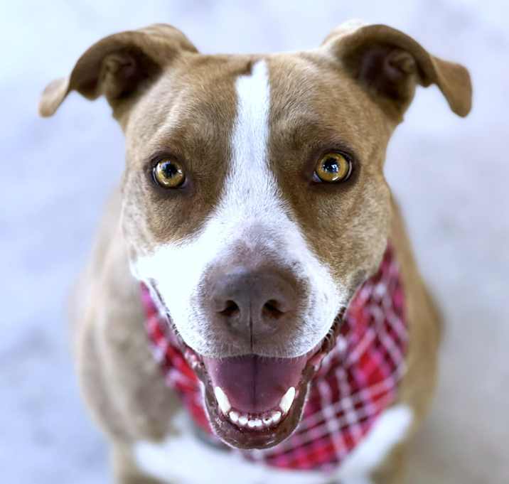 Photo of Izzie