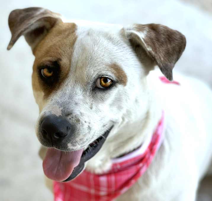Photo of Jewel